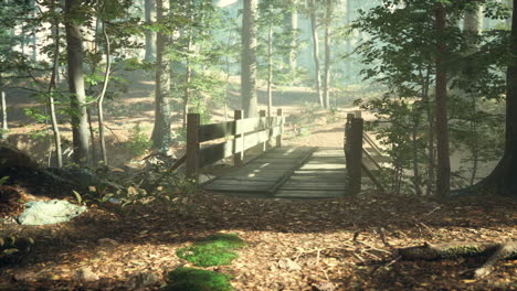 old-wooden-bridge-over-a-small-stream-in-a-park